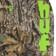 HUF Realtree Megablast L/S T-Shirt - realtree - side