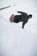 K2 Sky Pilot Snowboard 2026 - grey top/red base - Lifestyle 4