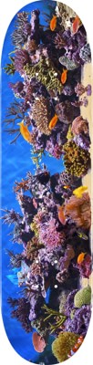 Mini Logo Fish Tank 7.75 291 Shape Skateboard Deck - view large