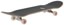 Real Rose Oval 7.75 Complete Skateboard - angle