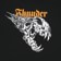 Thunder Screaming Banshee Hoodie - black/black-white-orange - front detail