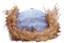 Carpet C-Star Fur Snapback Hat - light denim - reverse