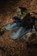 Altra Men's Lone Peak 9 Waterproof Mid Trail Running Shoes - black/gray - Lifestyle 1