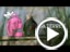 Adidas Gonz Terrex Over